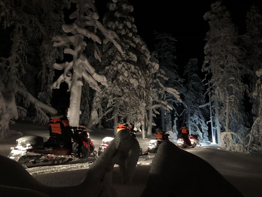 Rovaniemi: Search for Northern Lights Snowmobiling Trip - A few practical choices before booking