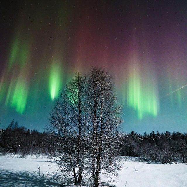 Rovaniemi: Small Group Aurora Hunt-full money back guarantee - What happens when the sky finally opens