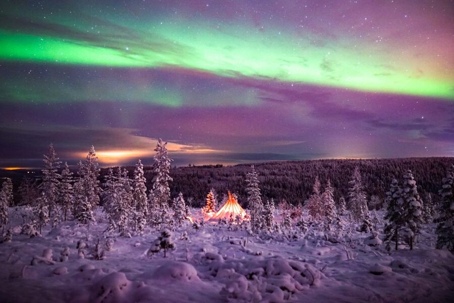 Rovaniemi: Small-Group Northern Lights Wilderness Tour - The first stop: testing the forecast