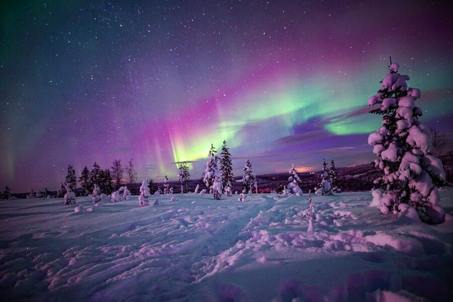 Rovaniemi: Small-Group Northern Lights Wilderness Tour - How much is $136 worth?