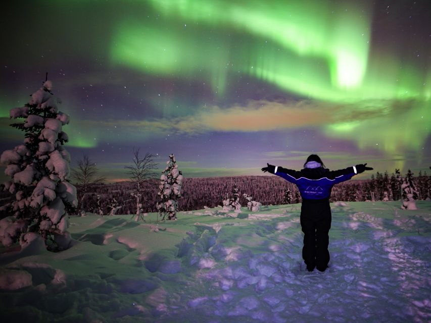 Rovaniemi: Small-Group Northern Lights Wilderness Tour - Why the small group changes the evening