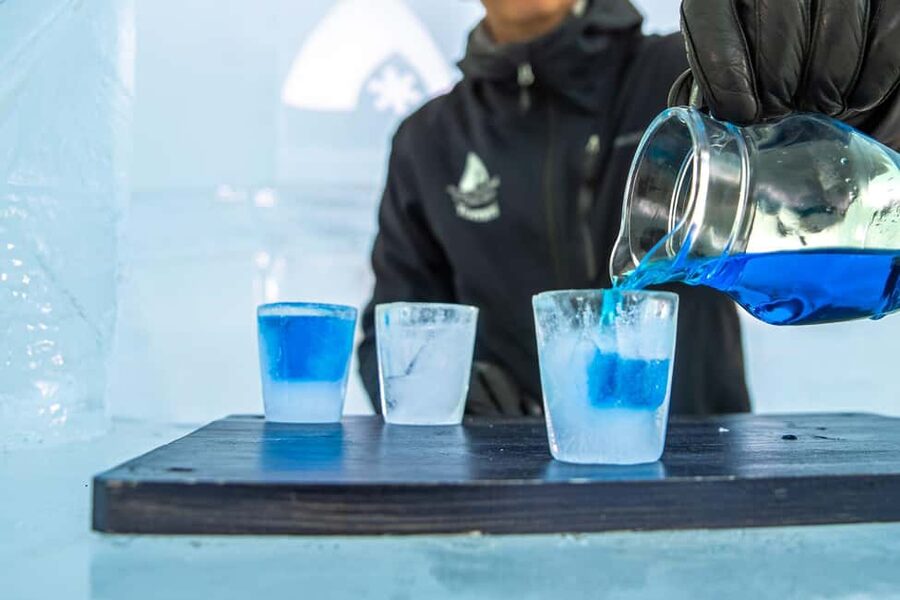 Rovaniemi: Snow Hotel Tour and Ice Restaurant Dinner - What dinner is like inside the Ice Restaurant