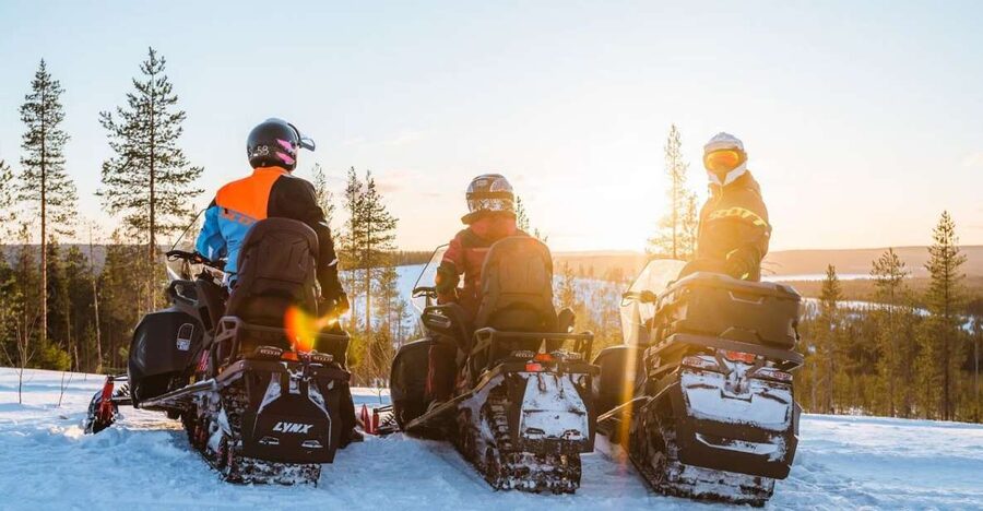 Rovaniemi: Snowmobile Safari Adventure - Key points to know before you book