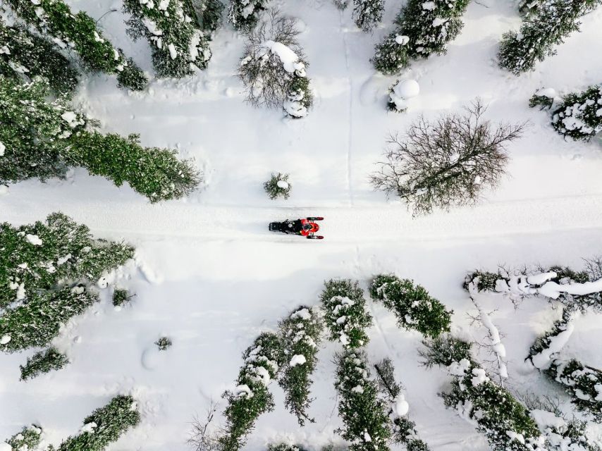 Rovaniemi: Snowmobile Safari Adventure - Getting ready in central Rovaniemi