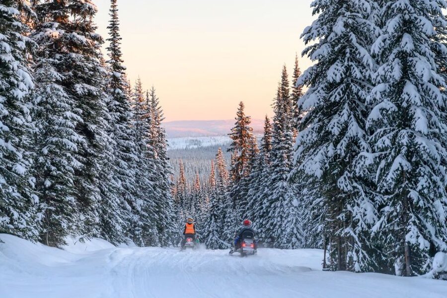 Rovaniemi: Snowmobile Safari Adventure - Should you book it?