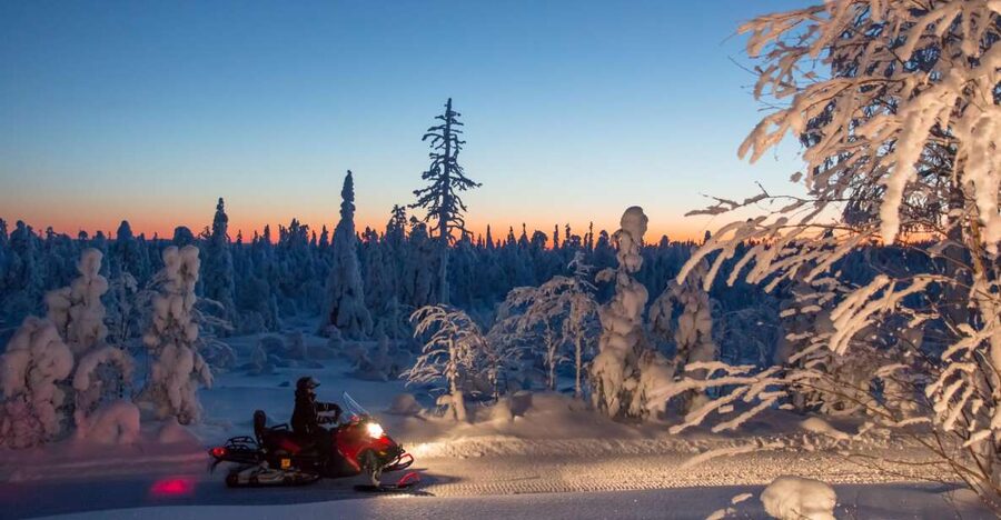Rovaniemi: Snowmobile Safari & Campfire Evening Escape - What the $175 price really covers