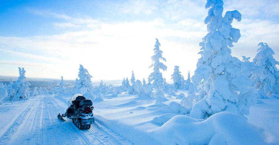 Rovaniemi: Snowmobile Safari in the Arctic Circle - Two hours through the Arctic Circle forest