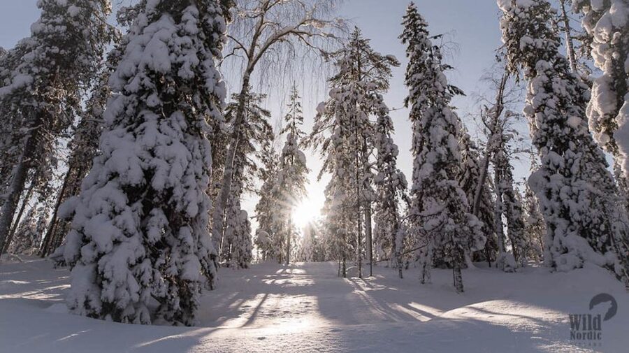 Rovaniemi: Snowmobile Safari into the Arctic Circle Forest - The clothing provided, and what you should wear underneath