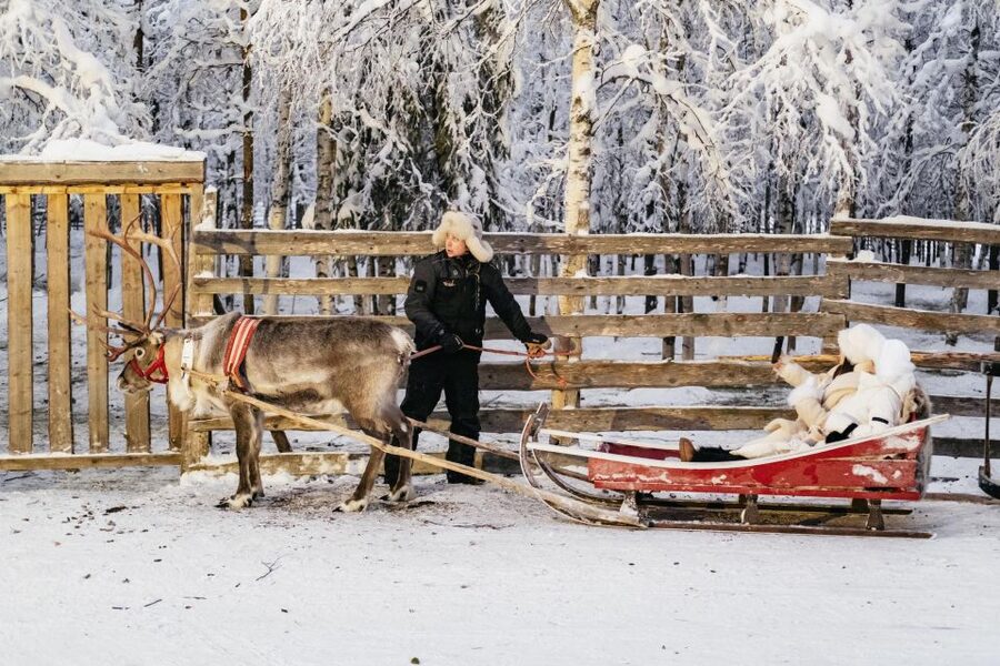 Rovaniemi: Snowmobile Safari, Reindeer & Husky Sleigh Ride - Is this tour worth booking?