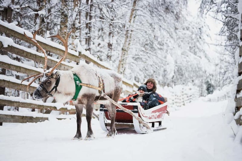 Rovaniemi: Snowmobile Tour and Reindeer Experience - The 500-meter sleigh ride