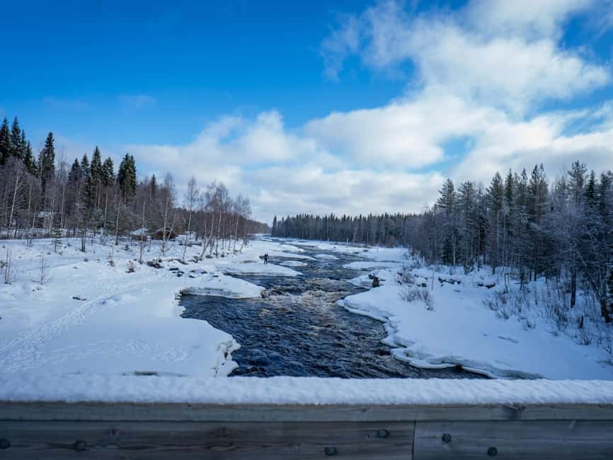 Rovaniemi: Snowshoe Adventure at Vikaköngäs & Barbeque - Who should book this snowshoe tour