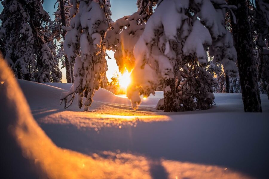 Rovaniemi: Snowshoe Wilderness Adventure - Key points to know before you book