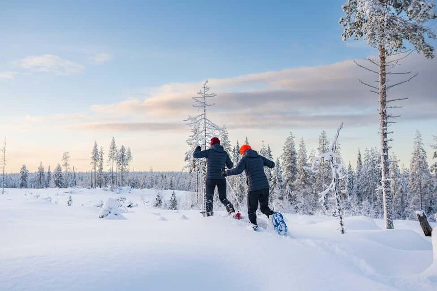 Rovaniemi: Snowshoe Wilderness Adventure - Leaving Rovaniemi for the Arctic woods