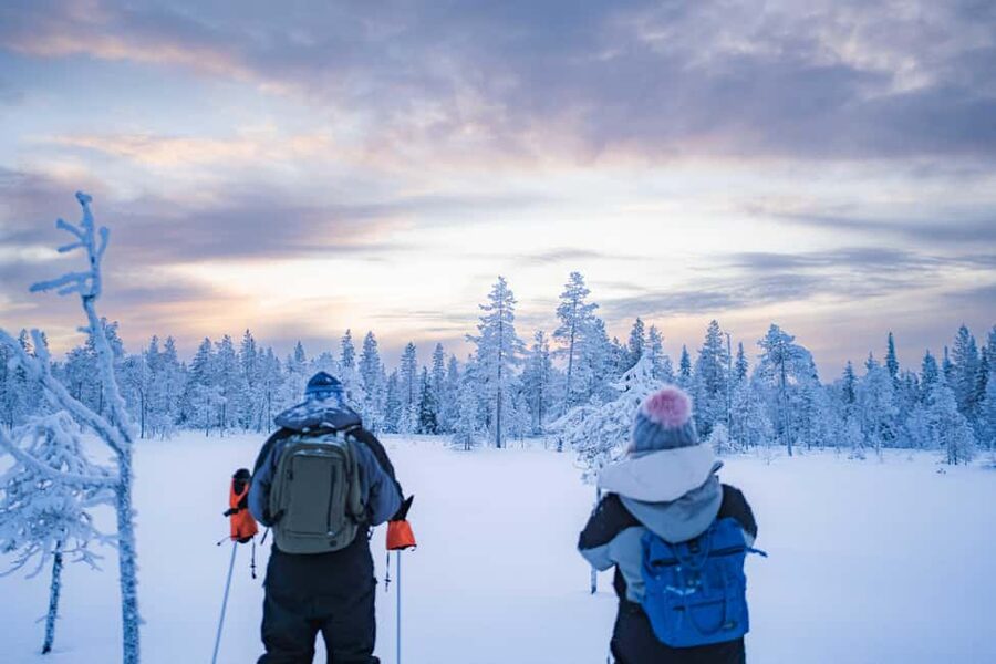 Rovaniemi: Snowshoe Wilderness Adventure - Walking several kilometers through deep snow
