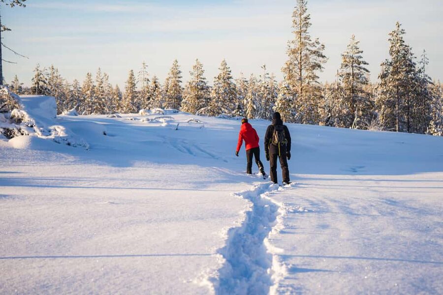 Rovaniemi: Snowshoe Wilderness Adventure - Learning photography from a working guide