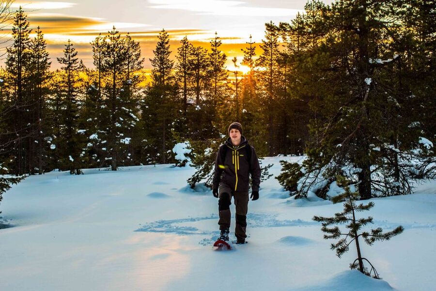Rovaniemi: Snowshoe Wilderness Adventure - Warming up at the teepee campsite