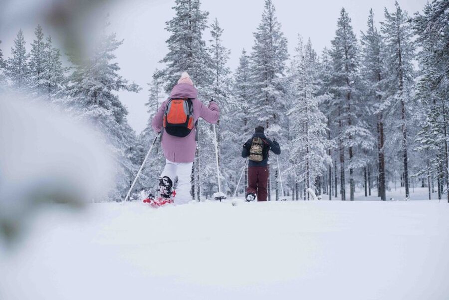Rovaniemi: Snowshoe Wilderness Adventure - Group size, pace, and comfort