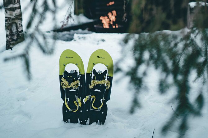 Rovaniemi: Snowshoeing in a magical snowy forest - A quiet start in the forest near Rovaniemi