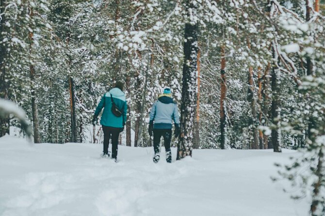 Rovaniemi: Snowshoeing in a magical snowy forest - Photos that solve a real winter problem