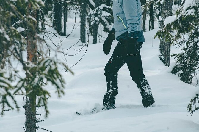 Rovaniemi: Snowshoeing in a magical snowy forest - Is $98.33 a fair price?