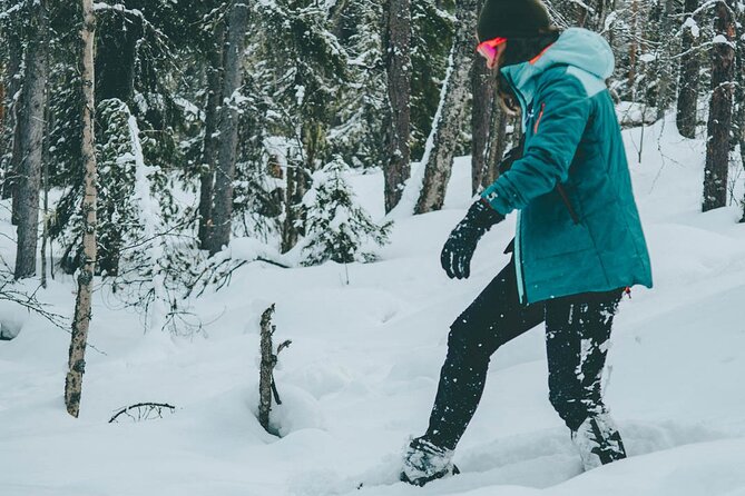 Rovaniemi: Snowshoeing in a magical snowy forest - Timing, transport, and the half-day format