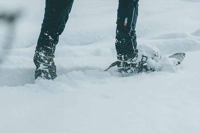 Rovaniemi: Snowshoeing in a magical snowy forest - What the small group changes