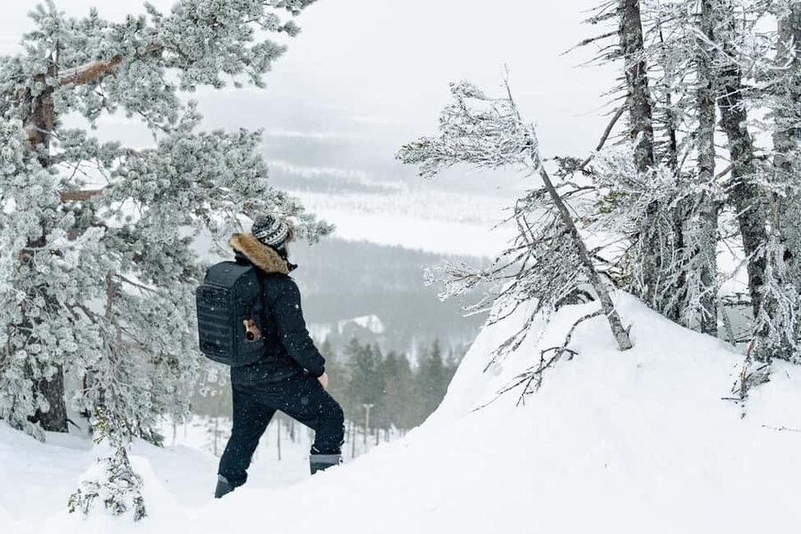 Rovaniemi: Snowshoeing in the Arctic Wilderness - Key points to know before booking