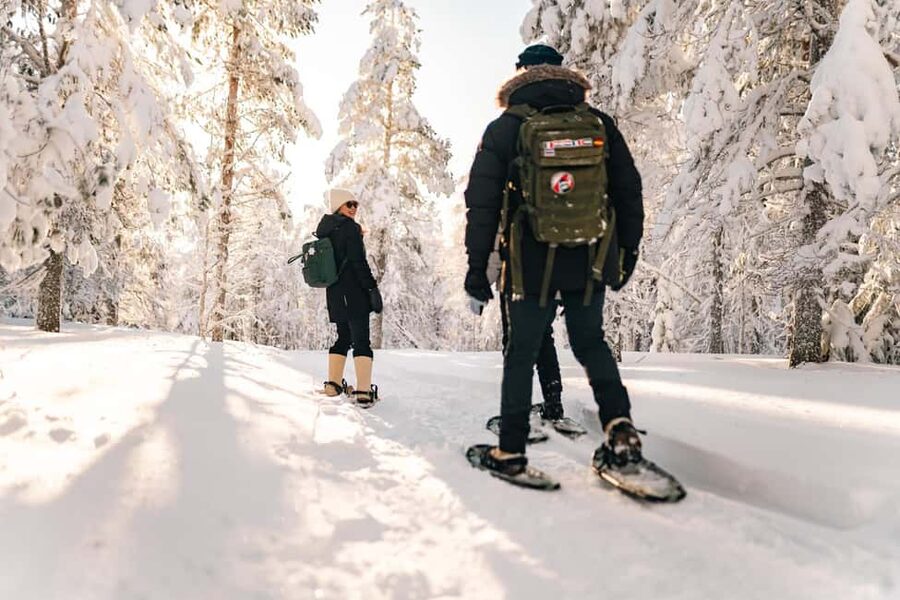 Rovaniemi: Snowshoeing in the Arctic Wilderness - Pickup from Rovaniemi and the trip to the forest