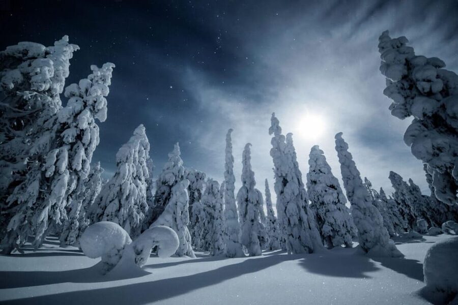 Rovaniemi: Snowy Forest Night Hike with Northern Lights - Following the snowy trail for three hours