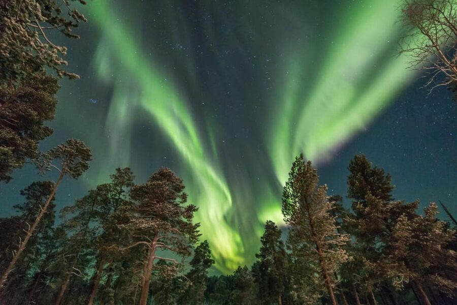Rovaniemi: Snowy Forest Night Hike with Northern Lights - Reaching the watchtower in the forest