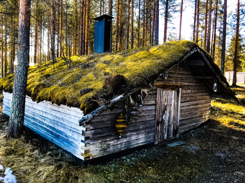 Rovaniemi: Summer Reindeer Farm Experience - The drive from Rovaniemi to the farm