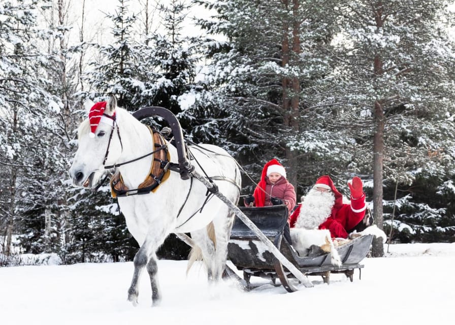 Rovaniemi: Traditional Finnhorse Sleigh Ride at SCV (3km) - What the Finnhorse sleigh ride feels like