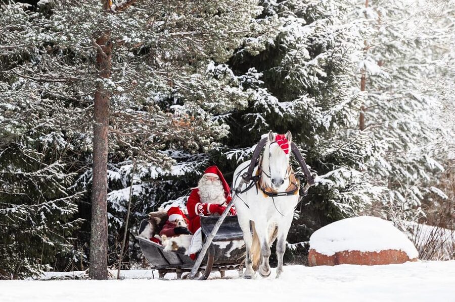 Rovaniemi: Traditional Finnhorse Sleigh Ride at SCV (3km) - The 3-kilometer route through the snowy forest