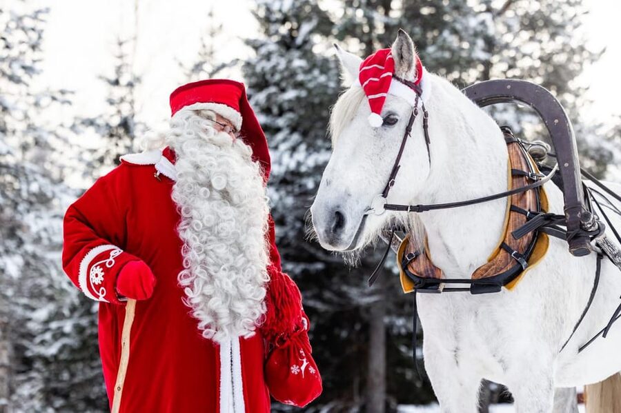 Rovaniemi: Traditional Finnhorse Sleigh Ride at SCV (3km) - Starting at Aurora Horses Napapiiri