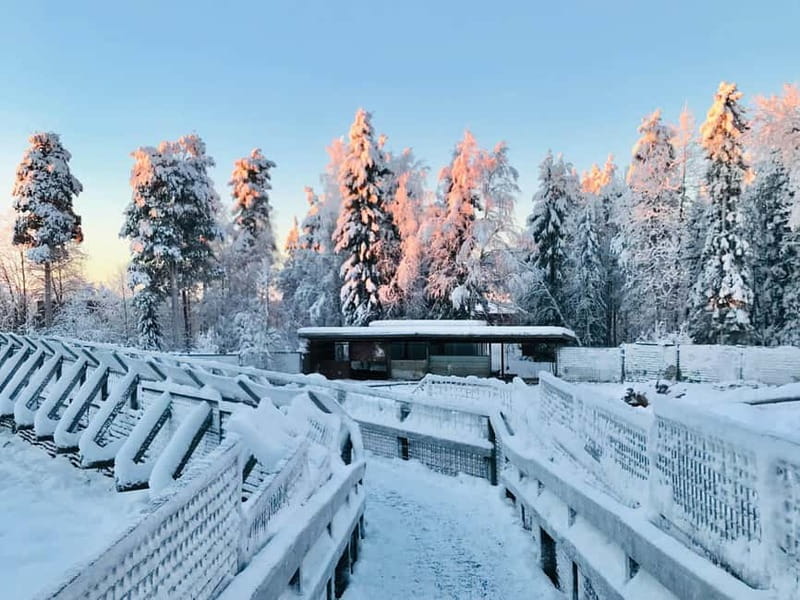Rovaniemi: Trip to Ranua Zoo with Tickets - Is the Ranua Zoo trip worth booking?