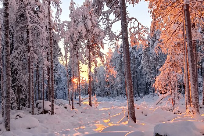 Rovaniemi: Trip to Ranua Zoo with Tickets Included - What the three hours inside really means