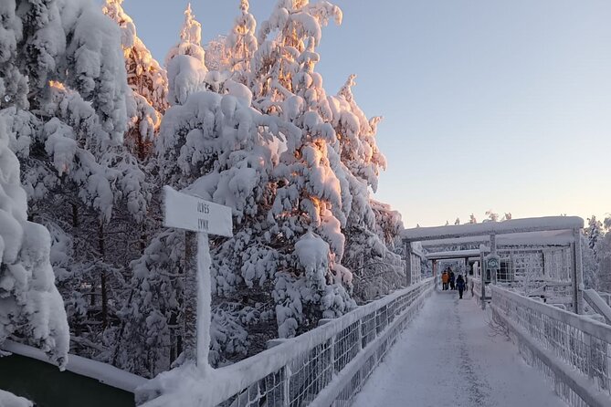 Rovaniemi: Trip to Ranua Zoo with Tickets Included - A friendly driver can shape the day