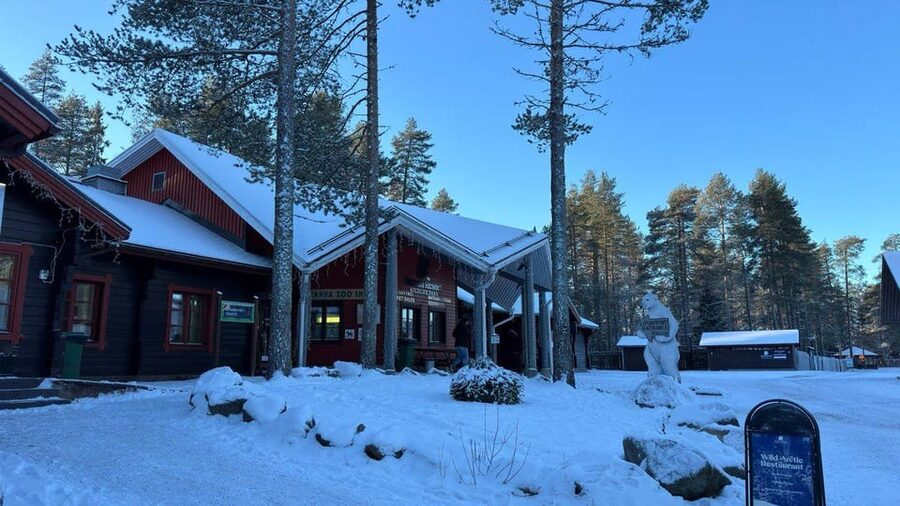 Rovaniemi: trip to the Ranua Zoo (transportation, tickets) - Walking the zoo paths through snow and forest