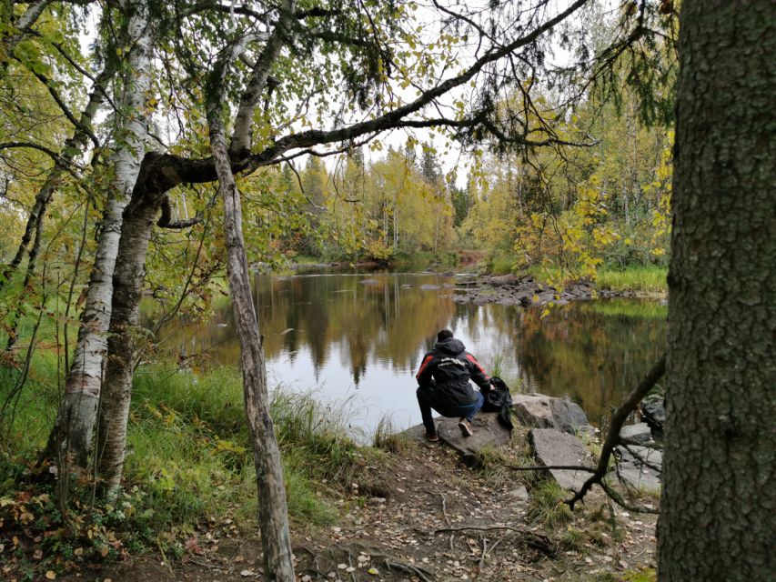 Rovaniemi: Vaattunki Hiking Arctic Circle Trail - Key points to know before booking
