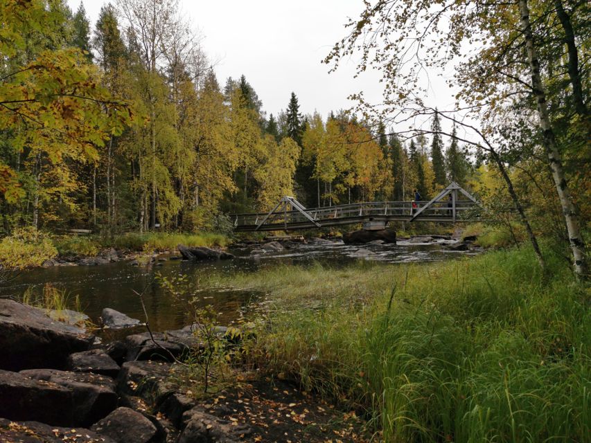 Rovaniemi: Vaattunki Hiking Arctic Circle Trail - Crossing the Arctic Circle in a natural setting