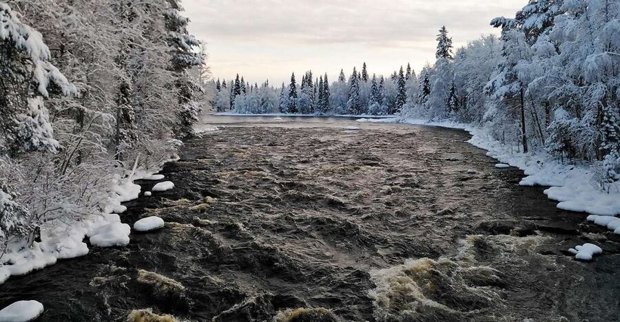 Rovaniemi: Vaattunki Hiking Arctic Circle Trail - Sausages and hot drinks by the open fire