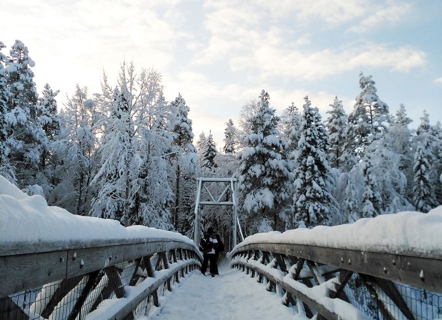 Rovaniemi: Vaattunki Hiking Arctic Circle Trail - Pickup, transport, and the small-group setting