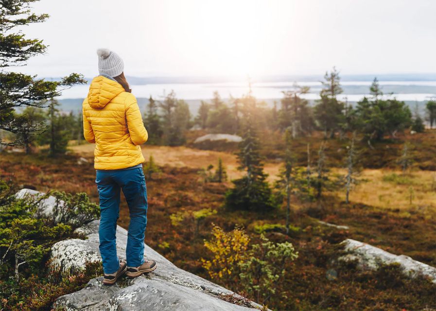Rovaniemi: Wild Moose Safari - Why sunset is the smart time to go