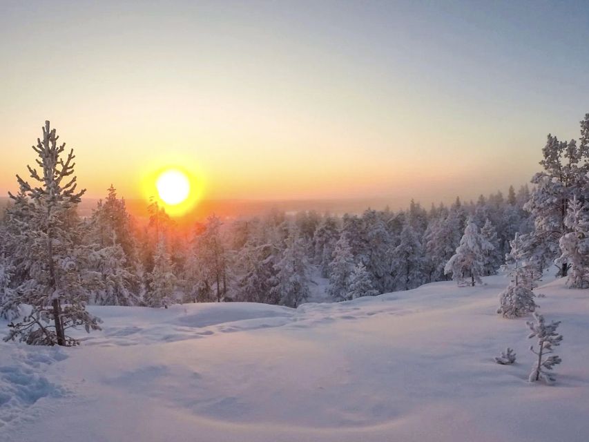Rovaniemi: Wilderness Tour - Who will enjoy this most?