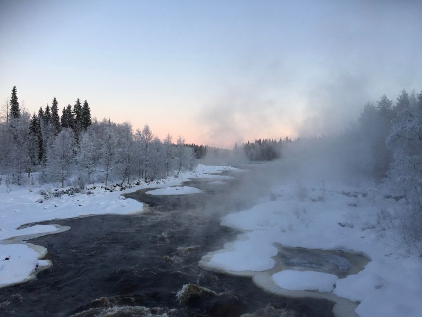 Rovaniemi: Wilderness Tour - Hot drinks, sausages, and a simple campfire pause