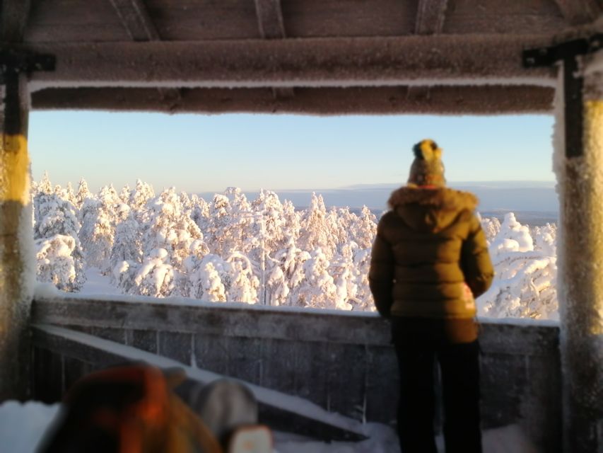 Rovaniemi: Wilderness Tour - Is $104 a fair price?