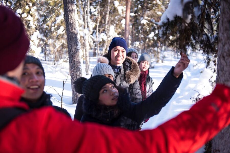 Rovaniemi: Winter Wilderness Snowshoeing Trip - Key points at a glance