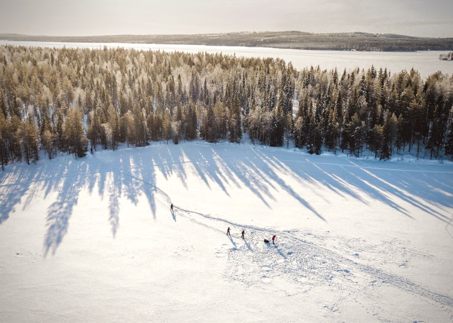 Rovaniemi: Winter Wilderness Snowshoeing Trip - Three hours in Lapland’s winter woods