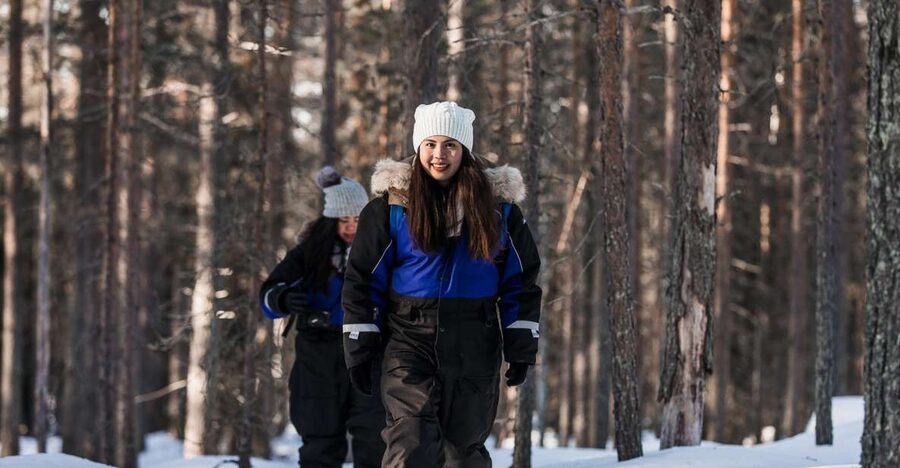Rovaniemi: Winter Wilderness Snowshoeing Trip - Is $104 a fair price?