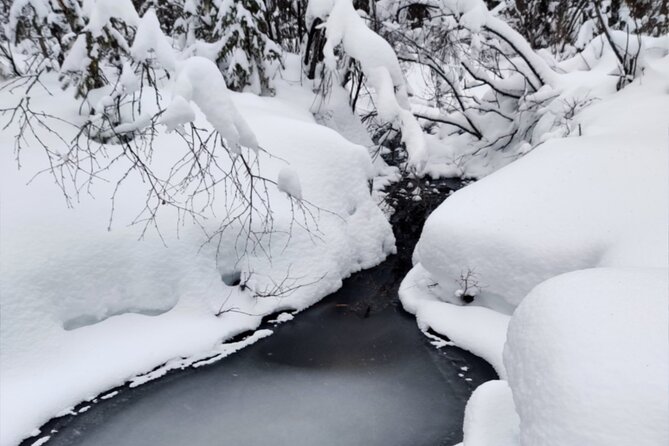 Rovaniemi: Winter Wonderland Vikaköngäs Hiking Tour & BBQ - Key points at a glance